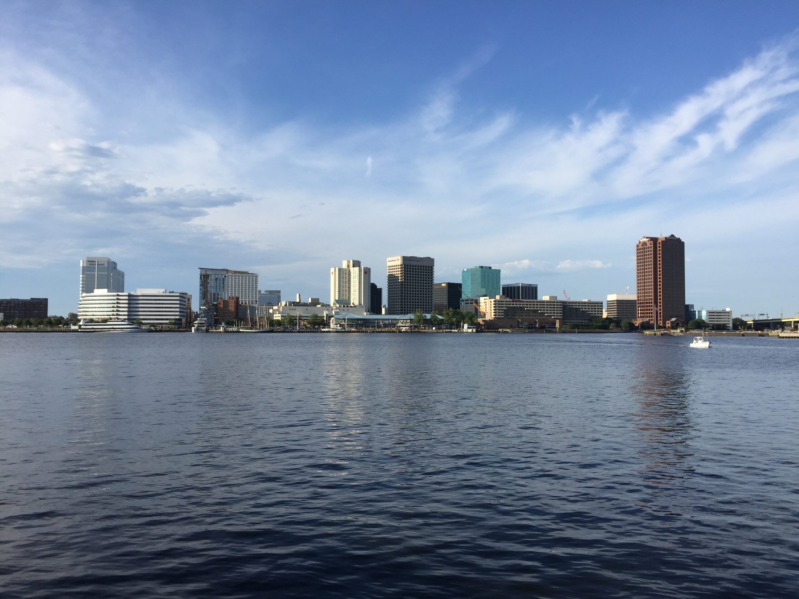Wellness Oddities 2 Downtown Norfolk skyline